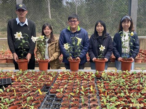 植物吸收重金屬|國立中興大學林易署陳俊桀 農試所作物組楊純明 前言 二 重金屬來源